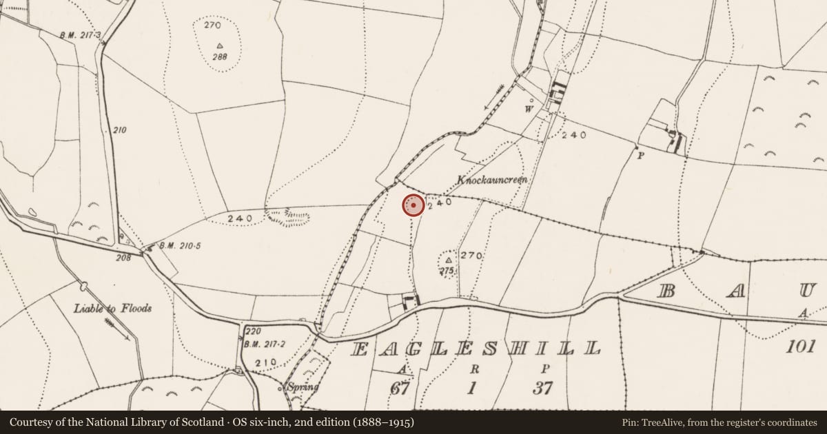 Ordnance Survey six-inch map, 2nd edition (1888–1915) covering the location of Enclosure, Eagleshill, County Kilkenny, with a pin at the register's coordinates