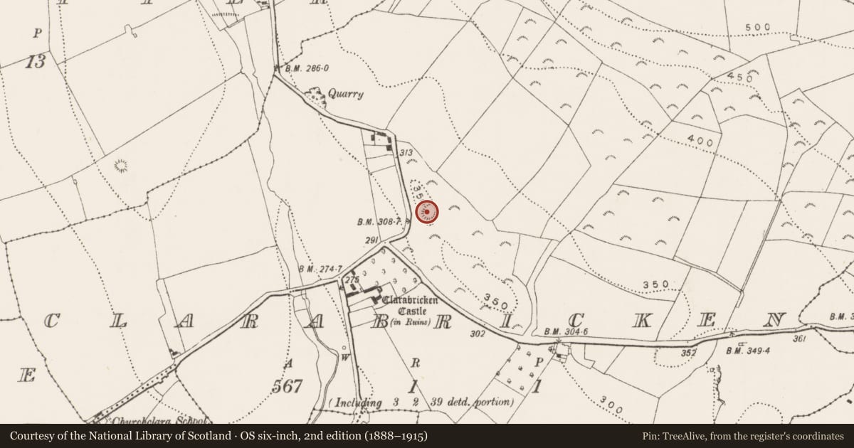Ordnance Survey six-inch map, 2nd edition (1888–1915) covering the location of Castle - motte, Clarabricken, County Kilkenny, with a pin at the register's coordinates