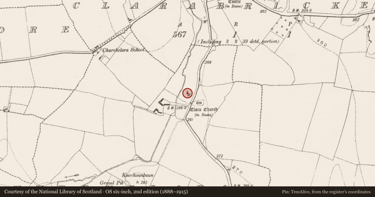 Ordnance Survey six-inch map, 2nd edition (1888–1915) covering the location of Ritual site - holy well, Churchclara, County Kilkenny, with a pin at the register's coordinates