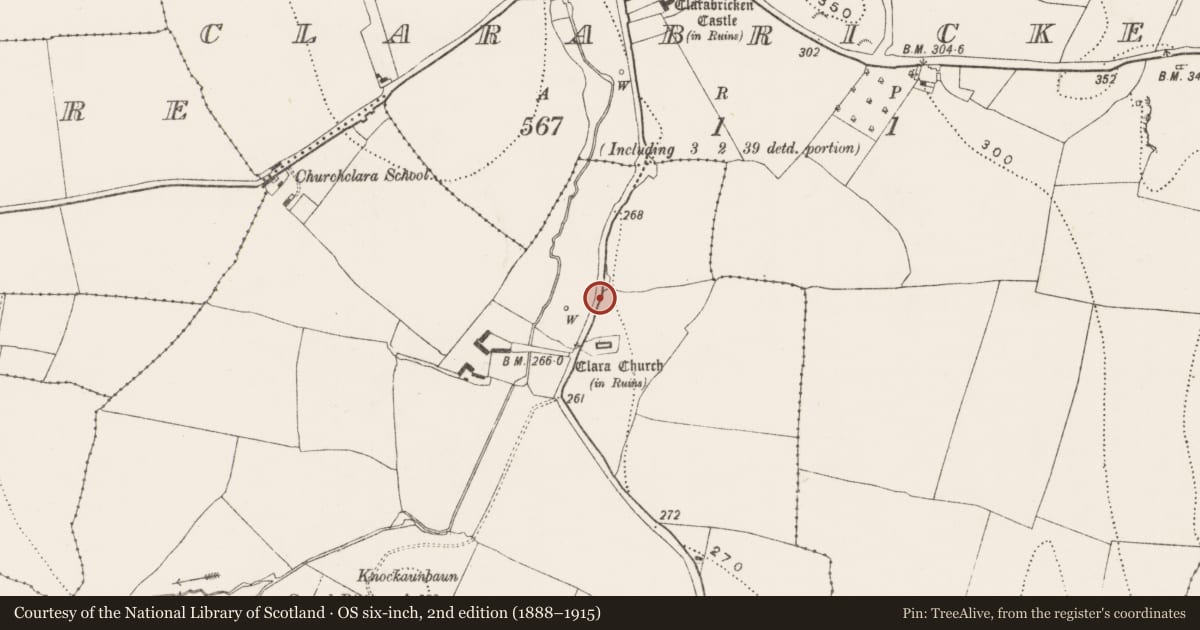 Ordnance Survey six-inch map, 2nd edition (1888–1915) covering the location of Bullaun stone, Churchclara, County Kilkenny, with a pin at the register's coordinates