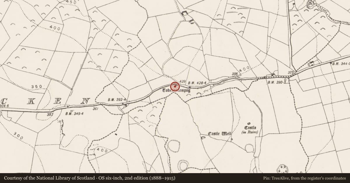 Ordnance Survey six-inch map, 2nd edition (1888–1915) covering the location of Ritual site - holy well, Grangehill, County Kilkenny, with a pin at the register's coordinates