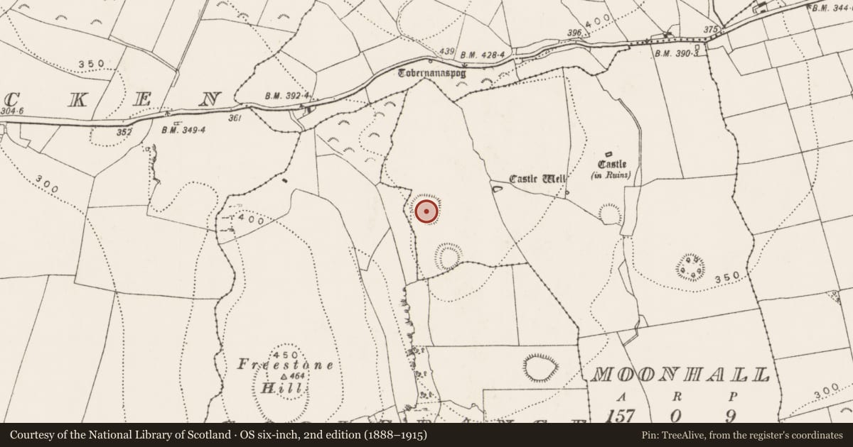 Ordnance Survey six-inch map, 2nd edition (1888–1915) covering the location of Enclosure, Moonhall, County Kilkenny, with a pin at the register's coordinates