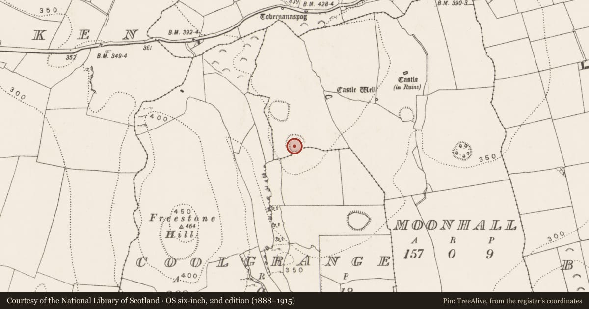 Ordnance Survey six-inch map, 2nd edition (1888–1915) covering the location of Ringfort - rath, Moonhall, County Kilkenny, with a pin at the register's coordinates