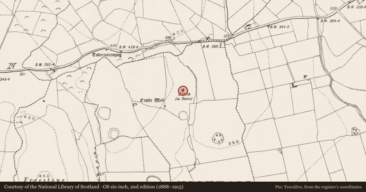 Ordnance Survey six-inch map, 2nd edition (1888–1915) covering the location of Castle - unclassified, Moonhall, County Kilkenny, with a pin at the register's coordinates