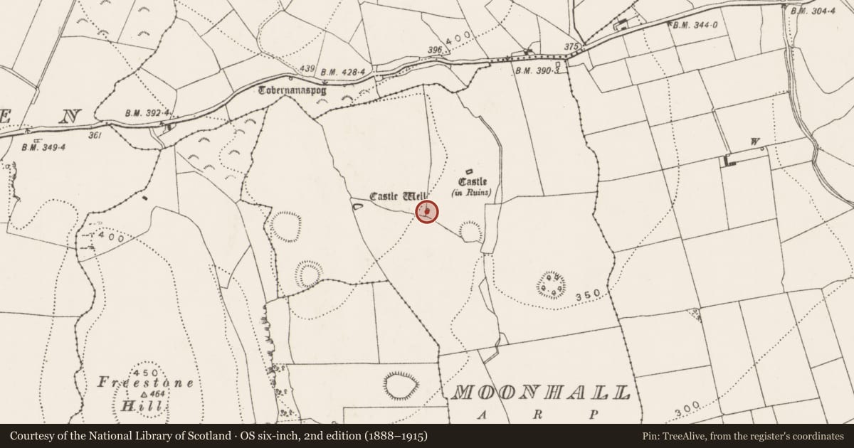 Ordnance Survey six-inch map, 2nd edition (1888–1915) covering the location of Well, Moonhall, County Kilkenny, with a pin at the register's coordinates