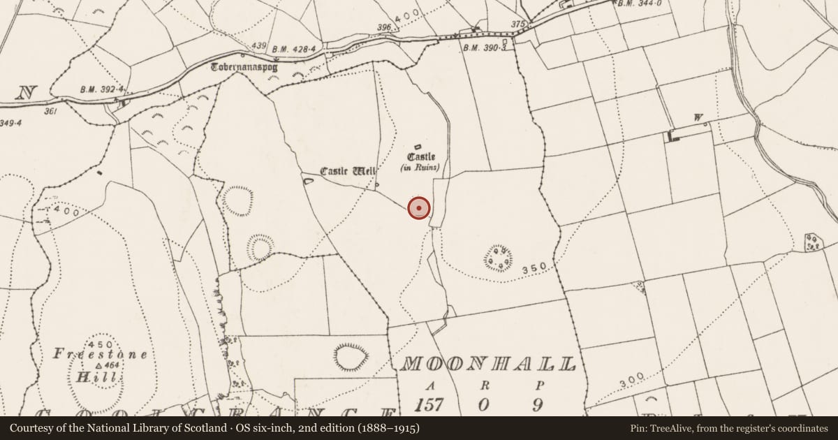 Ordnance Survey six-inch map, 2nd edition (1888–1915) covering the location of Enclosure, Moonhall, County Kilkenny, with a pin at the register's coordinates