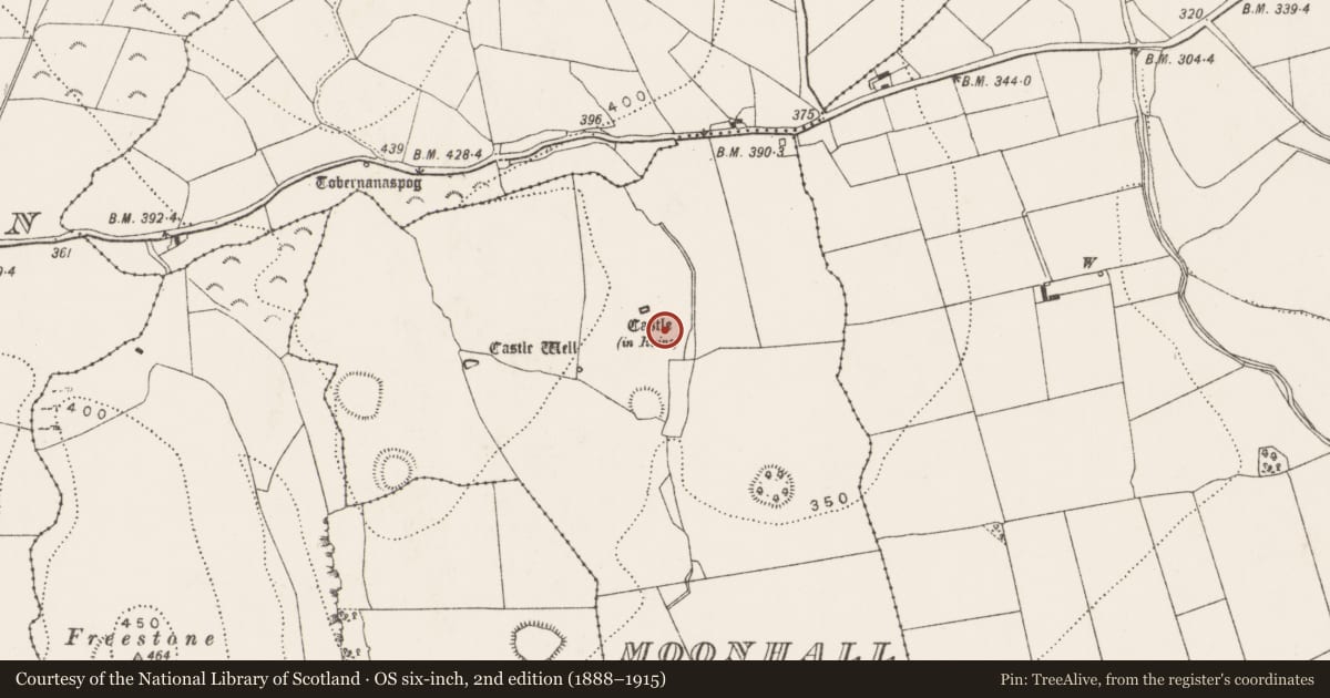 Ordnance Survey six-inch map, 2nd edition (1888–1915) covering the location of Settlement deserted - medieval, Moonhall, County Kilkenny, with a pin at the register's coordinates