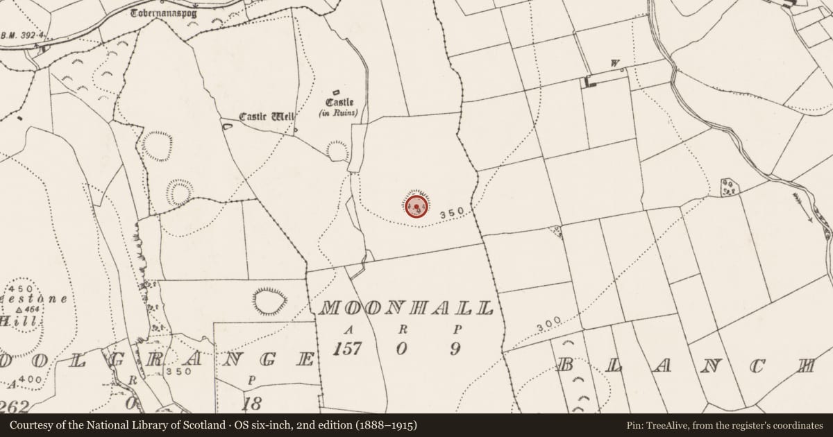 Ordnance Survey six-inch map, 2nd edition (1888–1915) covering the location of Ringfort - rath, Moonhall, County Kilkenny, with a pin at the register's coordinates