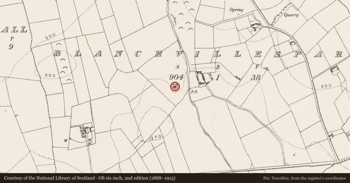 Ordnance Survey six-inch map, 2nd edition (1888–1915) covering the location of Church, Blanchvillespark, County Kilkenny, with a pin at the register's coordinates
