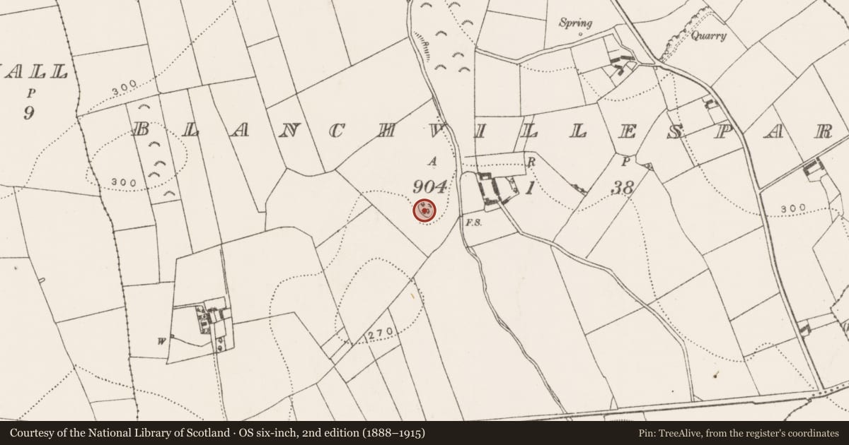Ordnance Survey six-inch map, 2nd edition (1888–1915) covering the location of Graveyard, Blanchvillespark, County Kilkenny, with a pin at the register's coordinates