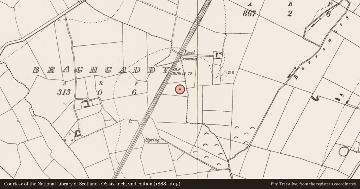 Ordnance Survey six-inch map, 2nd edition (1888–1915) covering the location of Fulacht fia, Sraghgaddy, County Kilkenny, with a pin at the register's coordinates