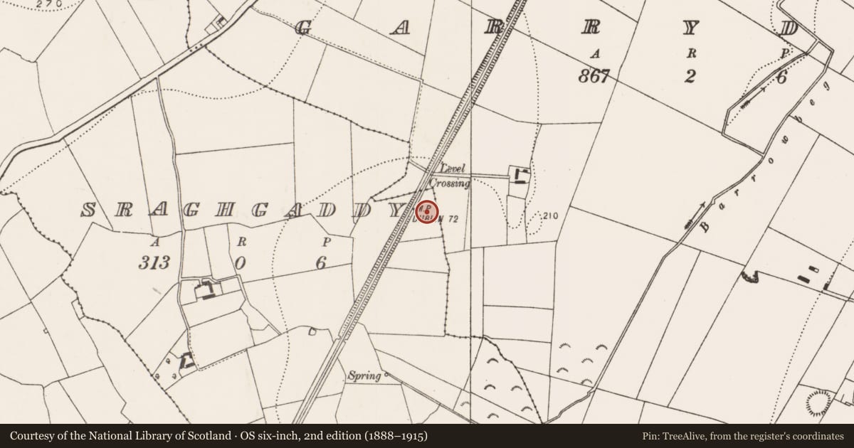 Ordnance Survey six-inch map, 2nd edition (1888–1915) covering the location of Fulacht fia, Sraghgaddy, County Kilkenny, with a pin at the register's coordinates