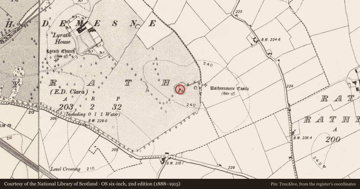 Ordnance Survey six-inch map, 2nd edition (1888–1915) covering the location of Ringfort - rath, Lyrath, County Kilkenny, with a pin at the register's coordinates