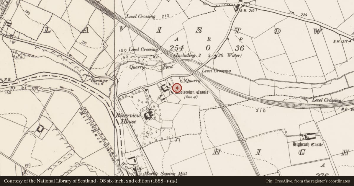Ordnance Survey six-inch map, 2nd edition (1888–1915) covering the location of Castle - unclassified, Lavistown, County Kilkenny, with a pin at the register's coordinates