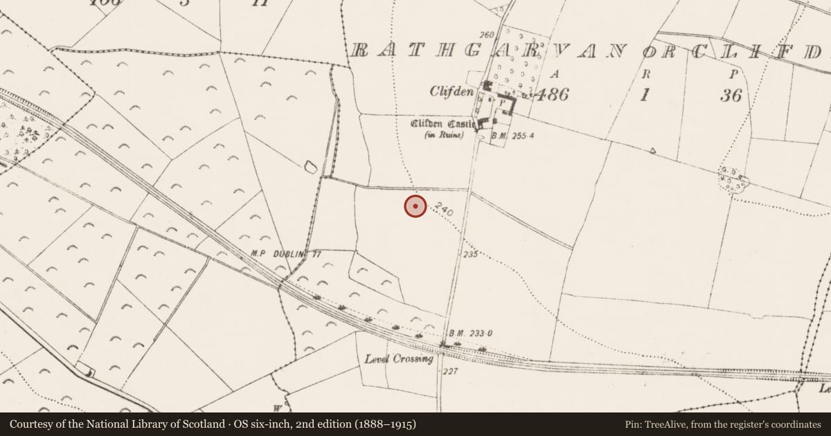 Ordnance Survey six-inch map, 2nd edition (1888–1915) covering the location of Enclosure, Rathgarvan Or Clifden, County Kilkenny, with a pin at the register's coordinates