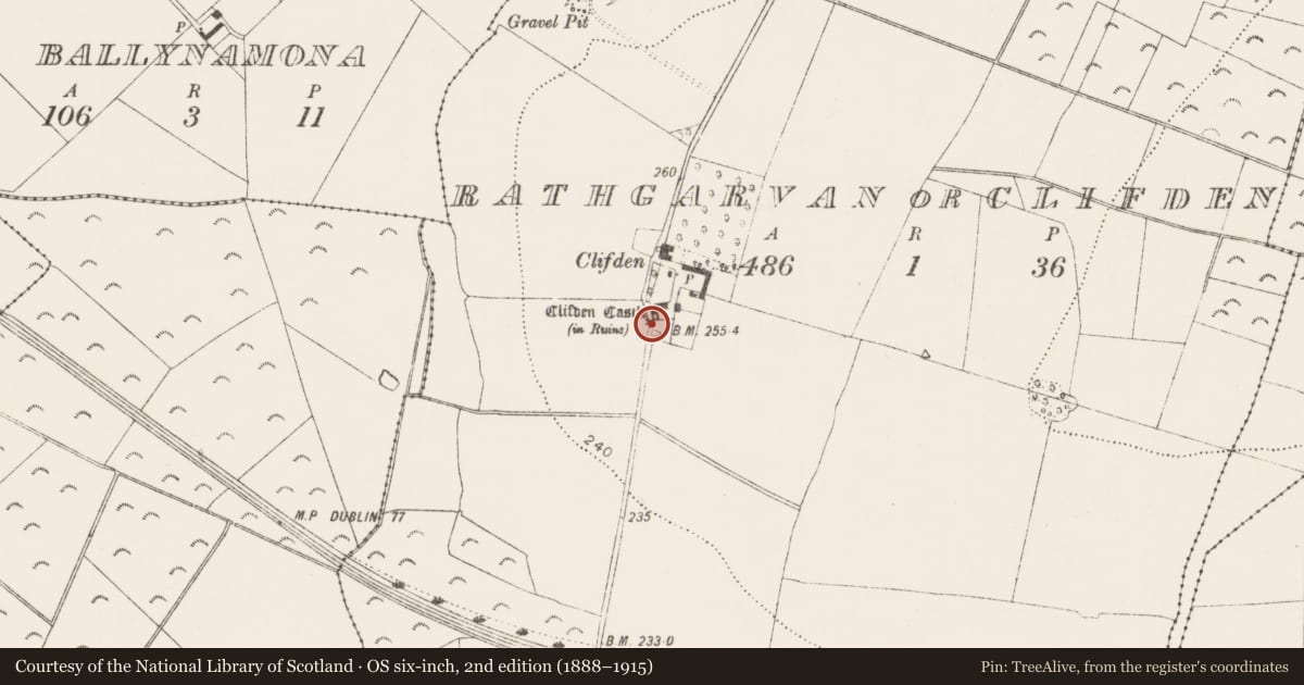 Ordnance Survey six-inch map, 2nd edition (1888–1915) covering the location of Castle - tower house, Rathgarvan Or Clifden, County Kilkenny, with a pin at the register's coordinates
