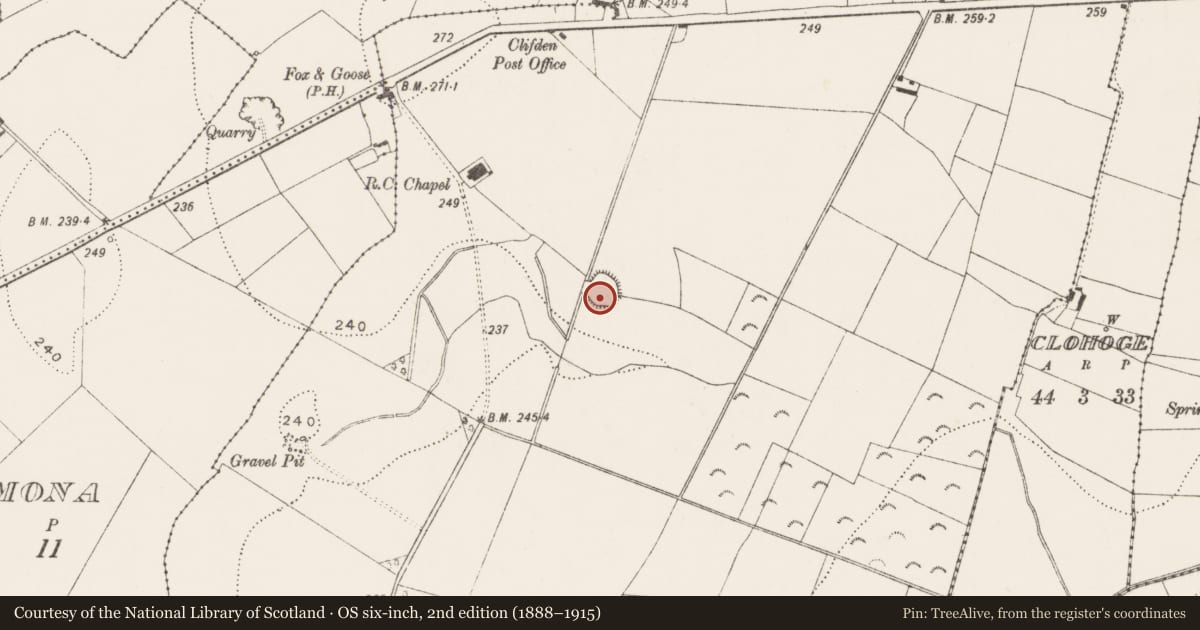 Ordnance Survey six-inch map, 2nd edition (1888–1915) covering the location of Ringfort - rath, Rathgarvan Or Clifden, County Kilkenny, with a pin at the register's coordinates