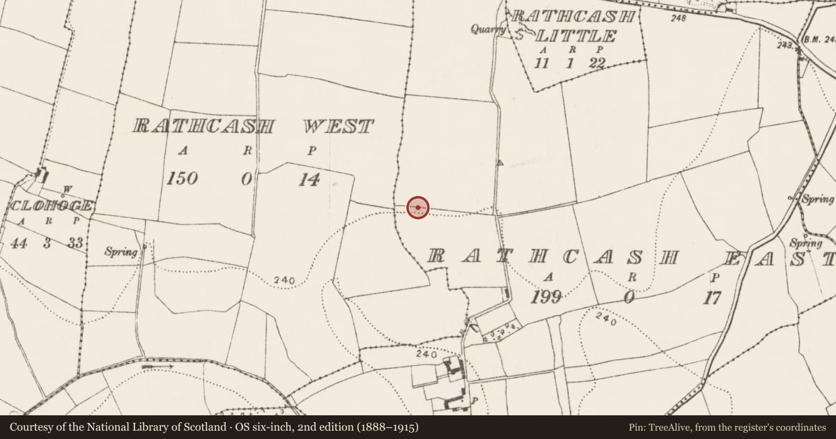 Ordnance Survey six-inch map, 2nd edition (1888–1915) covering the location of Enclosure, Rathcash East, County Kilkenny, with a pin at the register's coordinates