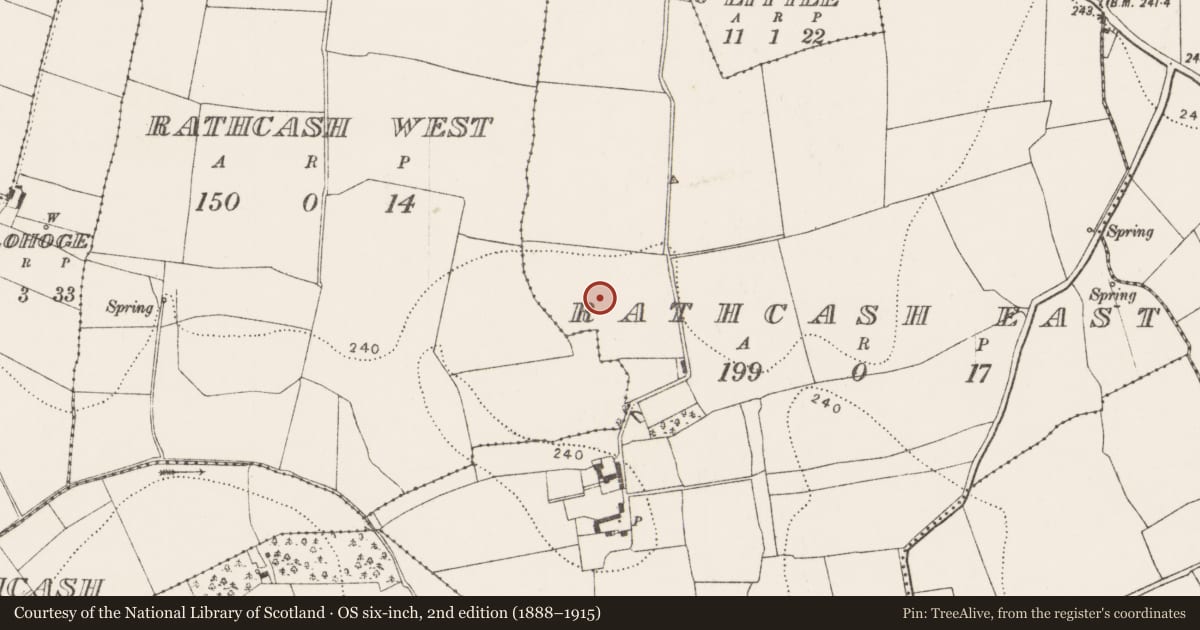 Ordnance Survey six-inch map, 2nd edition (1888–1915) covering the location of Field system, Rathcash East, County Kilkenny, with a pin at the register's coordinates