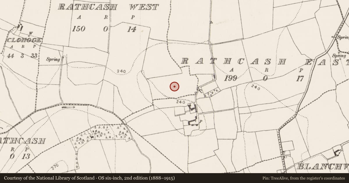 Ordnance Survey six-inch map, 2nd edition (1888–1915) covering the location of Settlement cluster, Rathcash West, County Kilkenny, with a pin at the register's coordinates
