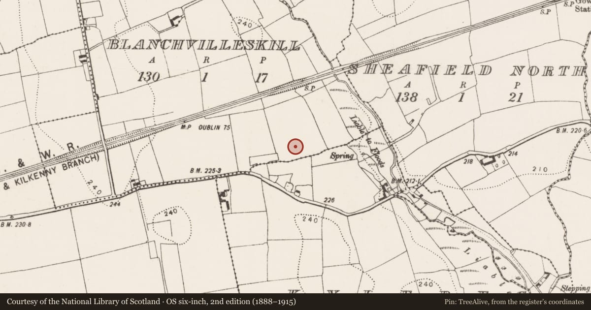 Ordnance Survey six-inch map, 2nd edition (1888–1915) covering the location of Enclosure, Blanchvilleskill, County Kilkenny, with a pin at the register's coordinates