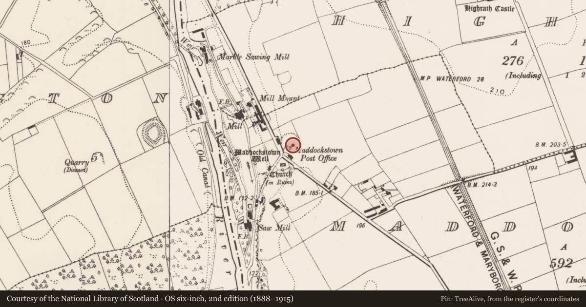 Ordnance Survey six-inch map, 2nd edition (1888–1915) covering the location of Ringfort - rath, Maddockstown, County Kilkenny, with a pin at the register's coordinates