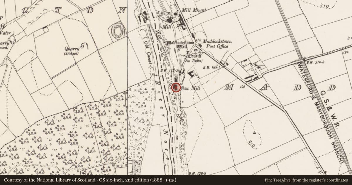 Ordnance Survey six-inch map, 2nd edition (1888–1915) covering the location of Water mill - vertical-wheeled, Maddockstown, County Kilkenny, with a pin at the register's coordinates