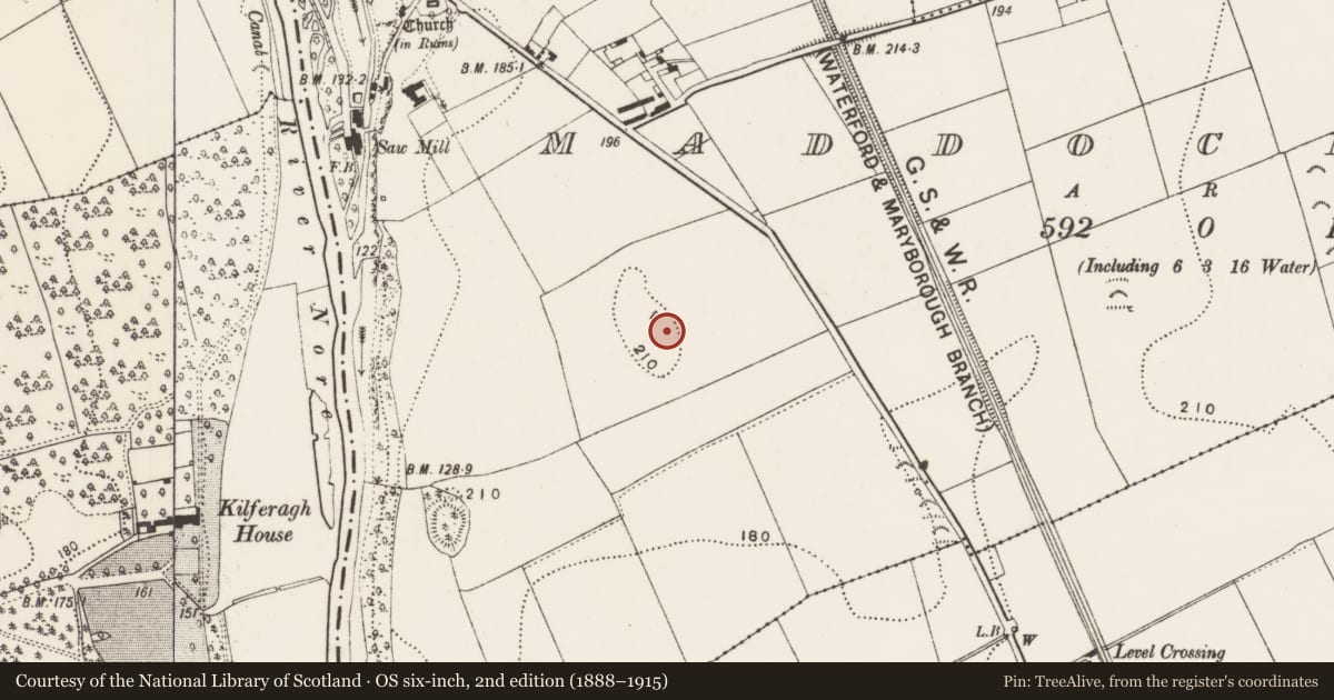 Ordnance Survey six-inch map, 2nd edition (1888–1915) covering the location of Enclosure, Maddockstown, County Kilkenny, with a pin at the register's coordinates