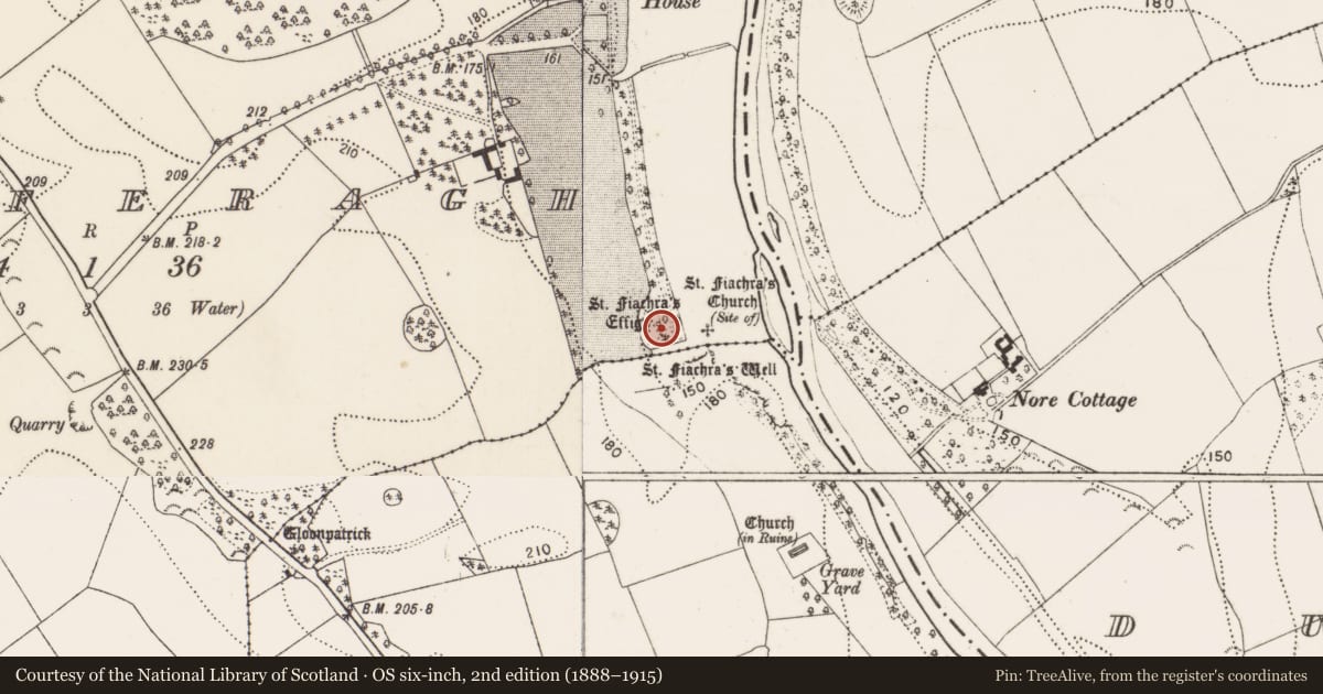 Ordnance Survey six-inch map, 2nd edition (1888–1915) covering the location of Graveyard, Kilferagh, County Kilkenny, with a pin at the register's coordinates