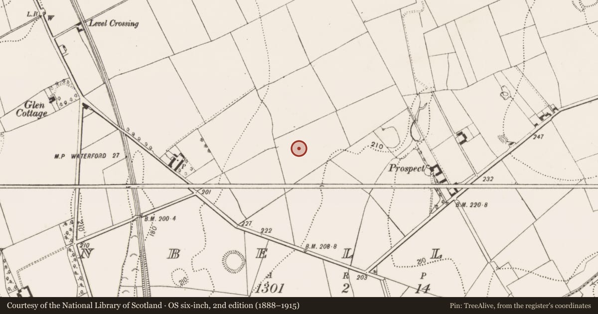 Ordnance Survey six-inch map, 2nd edition (1888–1915) covering the location of Enclosure, Dunbell Big, County Kilkenny, with a pin at the register's coordinates
