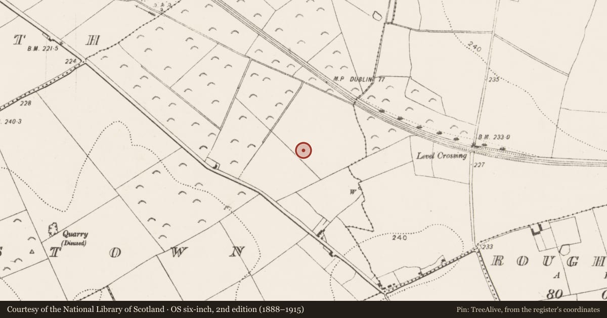 Ordnance Survey six-inch map, 2nd edition (1888–1915) covering the location of Burnt mound, Maddockstown, County Kilkenny, with a pin at the register's coordinates