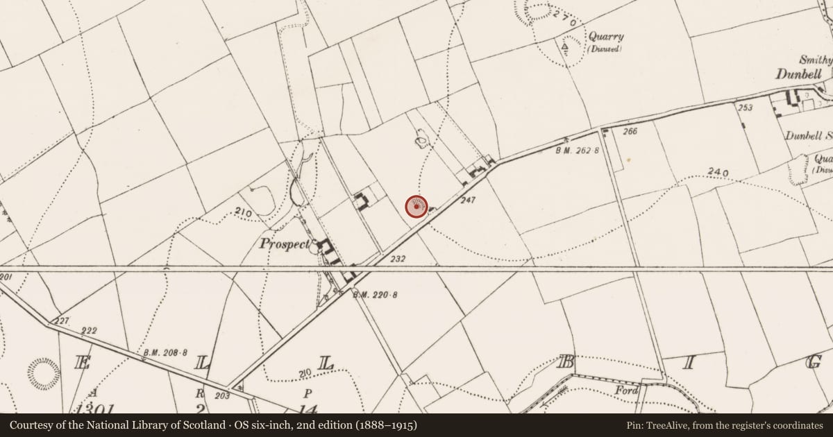 Ordnance Survey six-inch map, 2nd edition (1888–1915) covering the location of Enclosure, Dunbell Big, County Kilkenny, with a pin at the register's coordinates