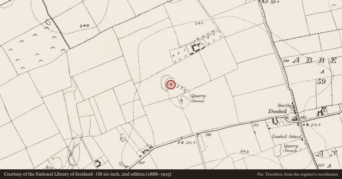 Ordnance Survey six-inch map, 2nd edition (1888–1915) covering the location of Ringfort - rath, Dunbell Big, County Kilkenny, with a pin at the register's coordinates