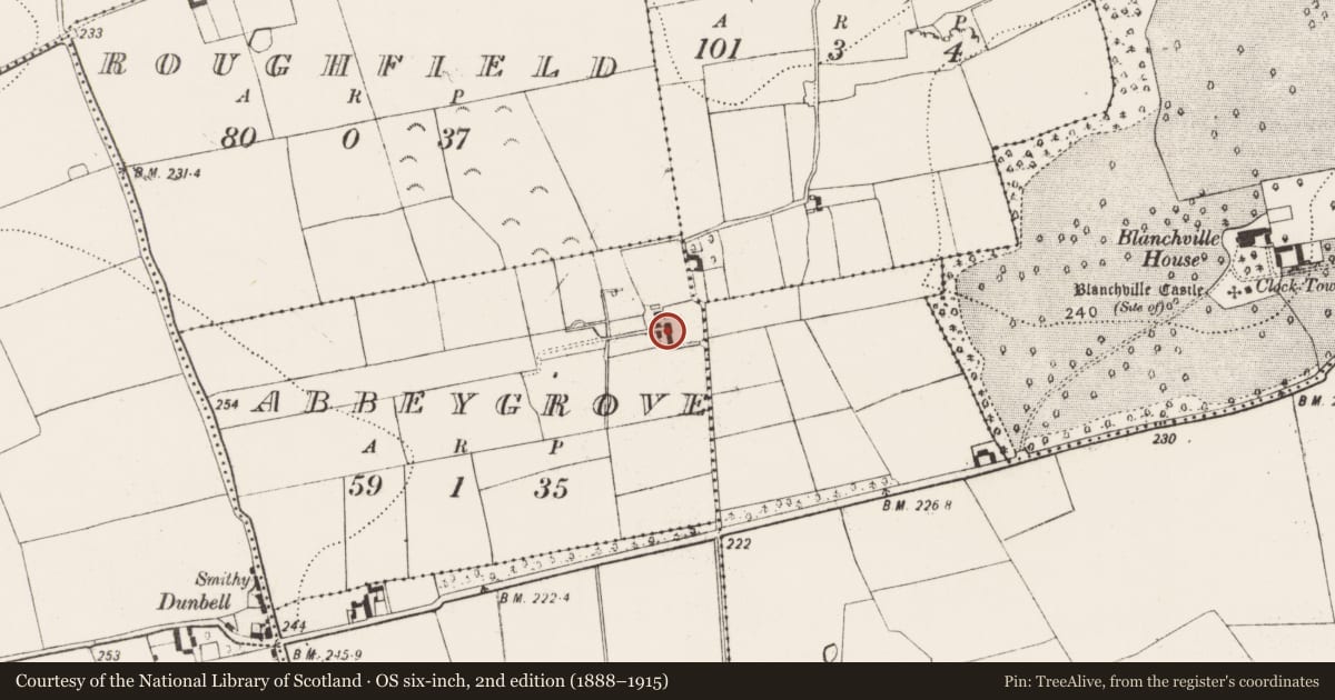 Ordnance Survey six-inch map, 2nd edition (1888–1915) covering the location of Chapel, Abbeygrove, County Kilkenny, with a pin at the register's coordinates