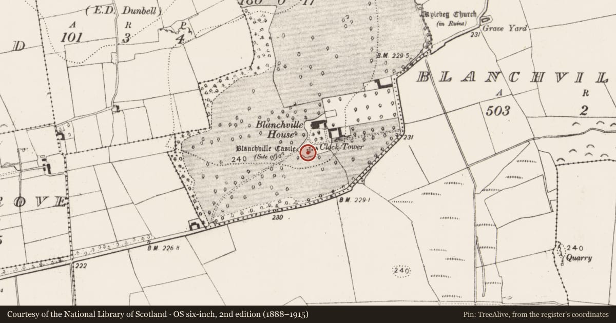 Ordnance Survey six-inch map, 2nd edition (1888–1915) covering the location of Castle - unclassified, Blanchville Demesne, County Kilkenny, with a pin at the register's coordinates