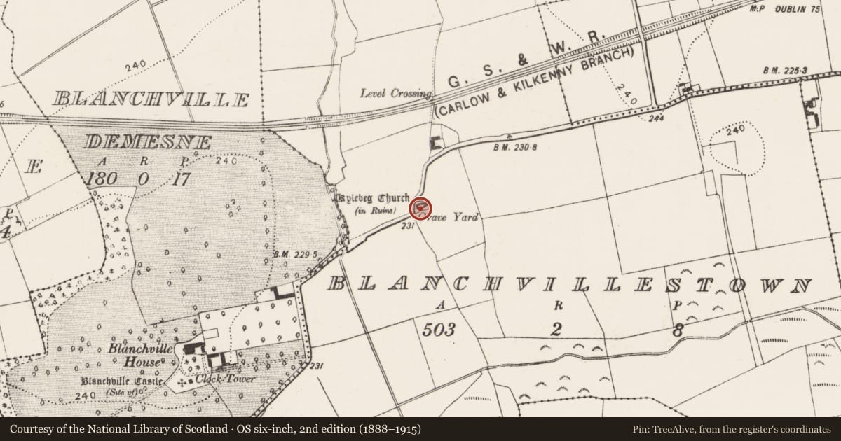 Ordnance Survey six-inch map, 2nd edition (1888–1915) covering the location of Graveyard, Blanchvillestown, County Kilkenny, with a pin at the register's coordinates