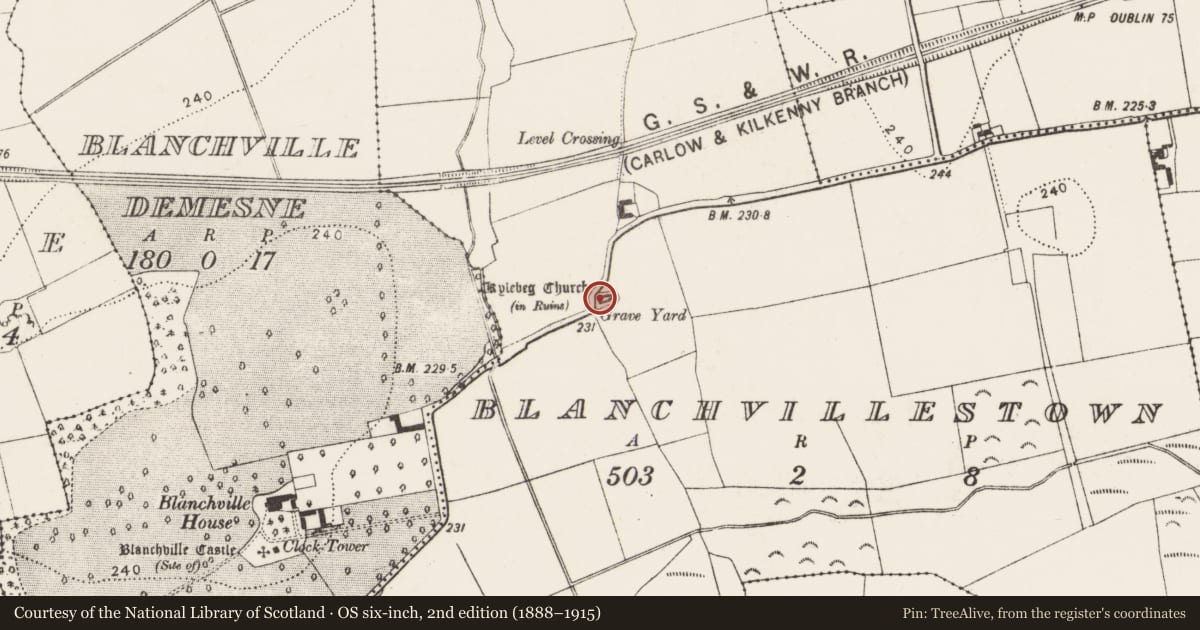 Ordnance Survey six-inch map, 2nd edition (1888–1915) covering the location of Font, Blanchvillestown, County Kilkenny, with a pin at the register's coordinates