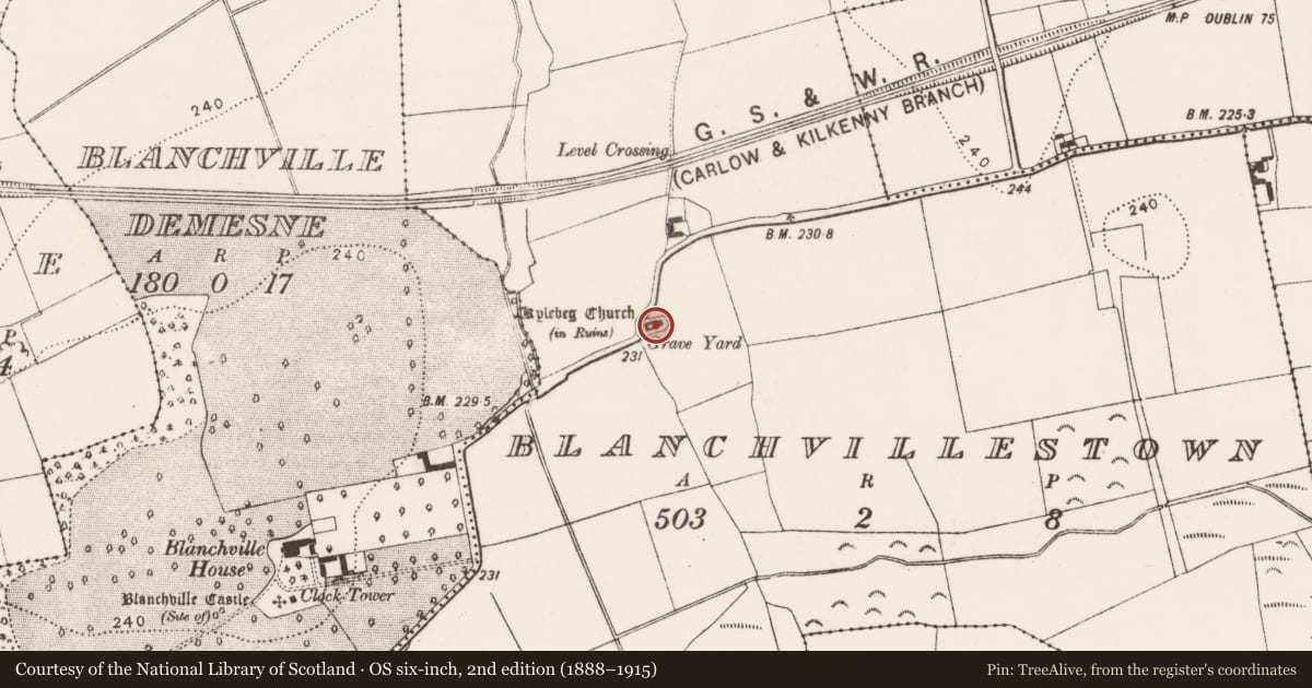 Ordnance Survey six-inch map, 2nd edition (1888–1915) covering the location of Graveslab, Blanchvillestown, County Kilkenny, with a pin at the register's coordinates