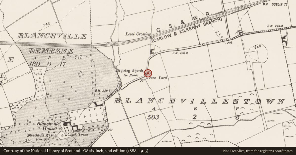 Ordnance Survey six-inch map, 2nd edition (1888–1915) covering the location of Graveslab, Blanchvillestown, County Kilkenny, with a pin at the register's coordinates