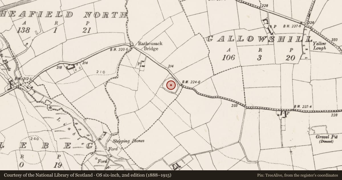 Ordnance Survey six-inch map, 2nd edition (1888–1915) covering the location of Enclosure, Talbotshill, County Kilkenny, with a pin at the register's coordinates