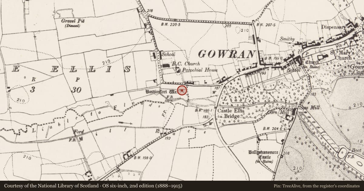 Ordnance Survey six-inch map, 2nd edition (1888–1915) covering the location of Ritual site - holy well, Castle Ellis, County Kilkenny, with a pin at the register's coordinates