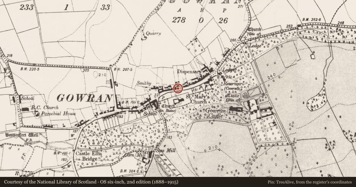 Ordnance Survey six-inch map, 2nd edition (1888–1915) covering the location of Historic town, County Kilkenny, with a pin at the register's coordinates