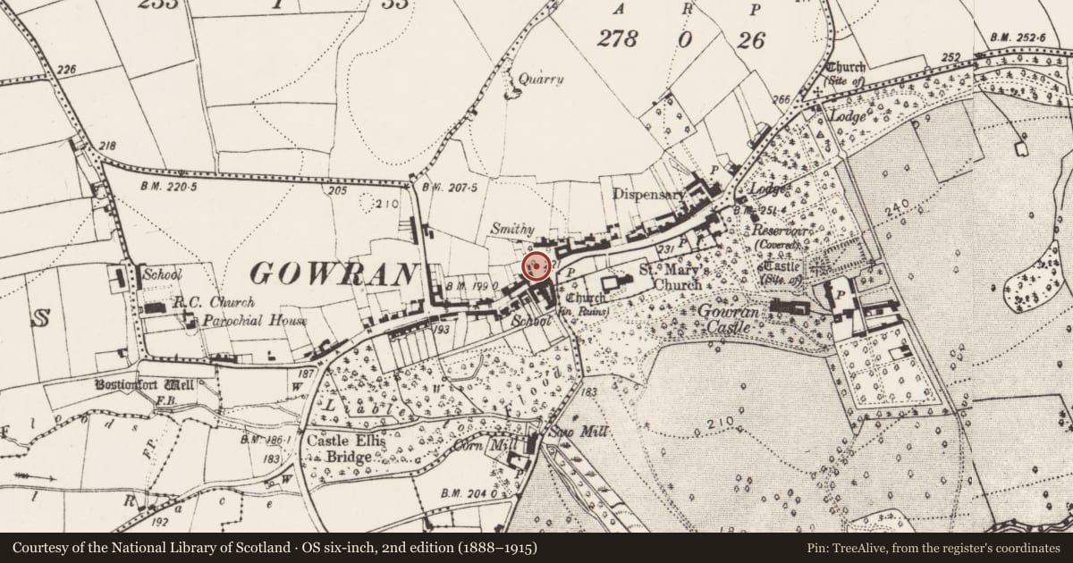 Ordnance Survey six-inch map, 2nd edition (1888–1915) covering the location of Cross - Market cross (present location), Gowran, County Kilkenny, with a pin at the register's coordinates