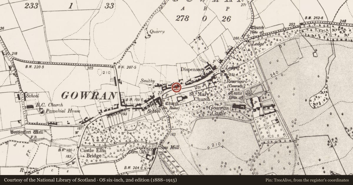Ordnance Survey six-inch map, 2nd edition (1888–1915) covering the location of Town defences, Gowran, Gowran Demesne, County Kilkenny, with a pin at the register's coordinates