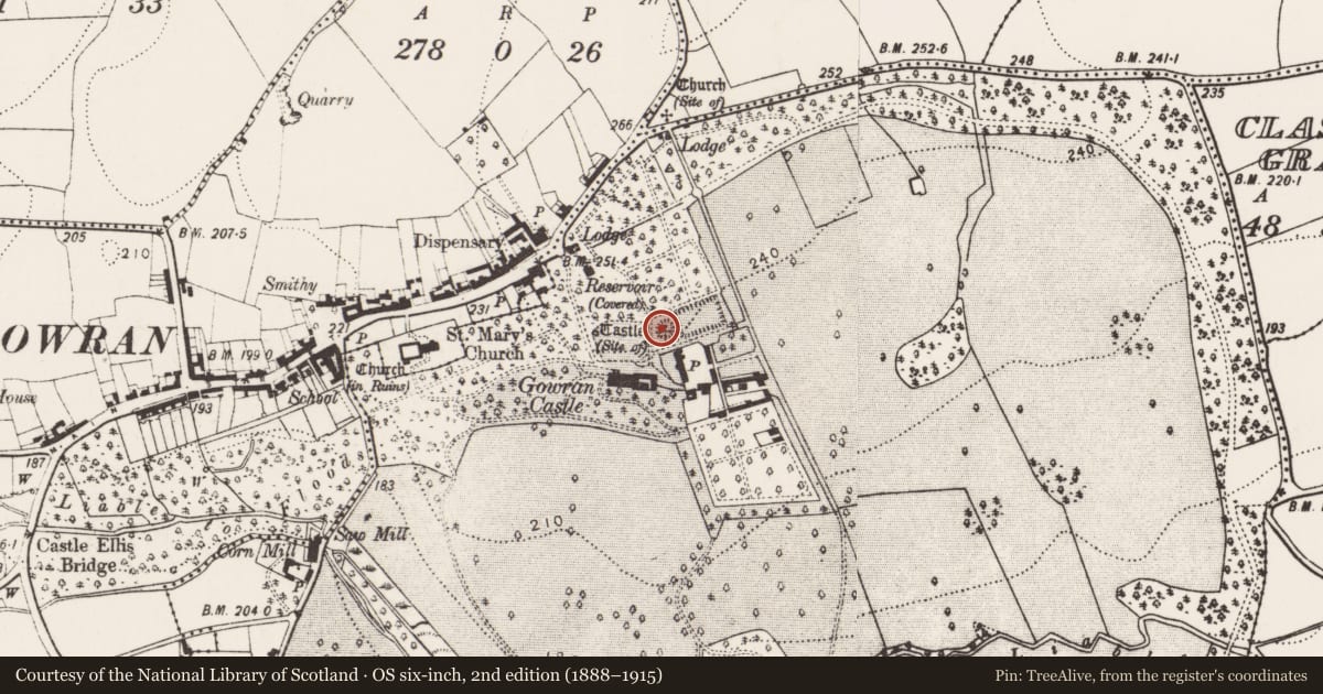 Ordnance Survey six-inch map, 2nd edition (1888–1915) covering the location of Castle - unclassified, Gowran Demesne, County Kilkenny, with a pin at the register's coordinates