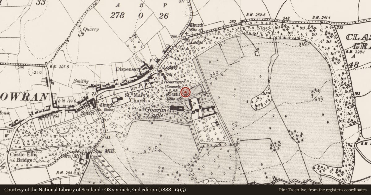 Ordnance Survey six-inch map, 2nd edition (1888–1915) covering the location of Castle - motte, Gowran Demesne, County Kilkenny, with a pin at the register's coordinates
