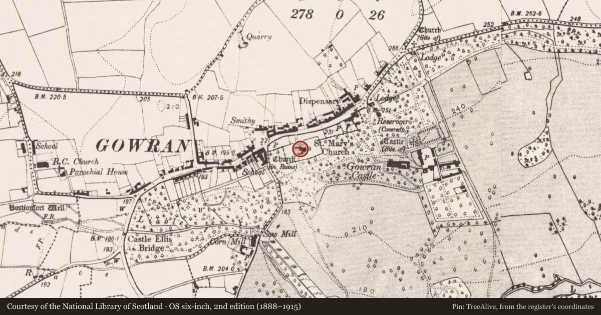 Ordnance Survey six-inch map, 2nd edition (1888–1915) covering the location of Ogham stone, Gowran, County Kilkenny, with a pin at the register's coordinates