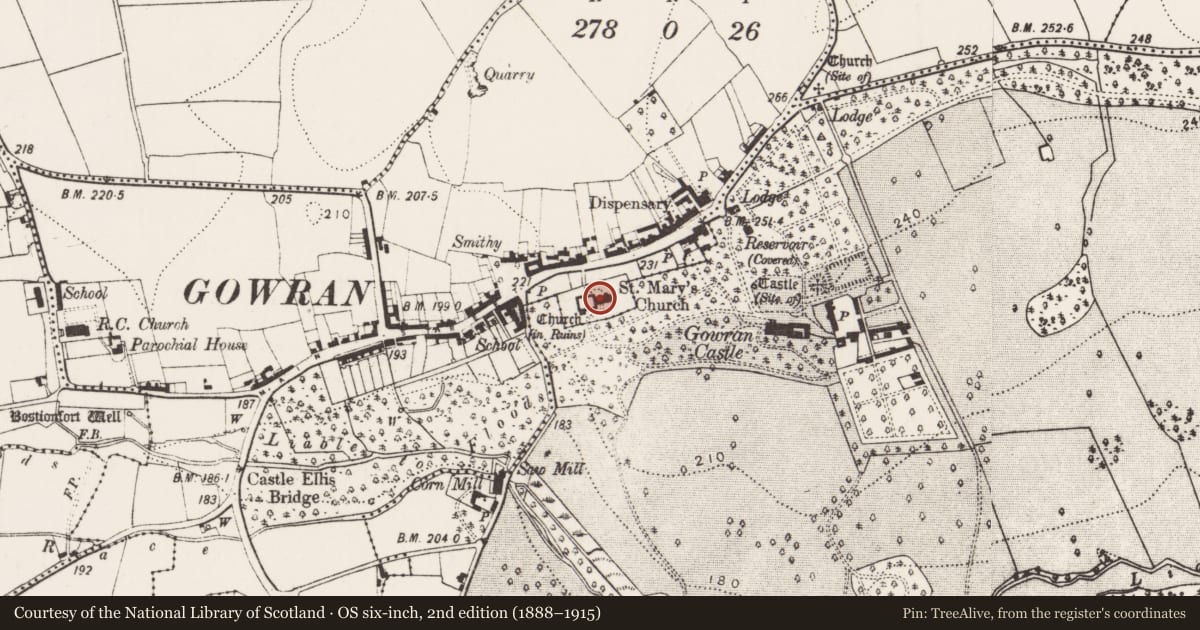 Ordnance Survey six-inch map, 2nd edition (1888–1915) covering the location of Tomb - effigial, Gowran, County Kilkenny, with a pin at the register's coordinates