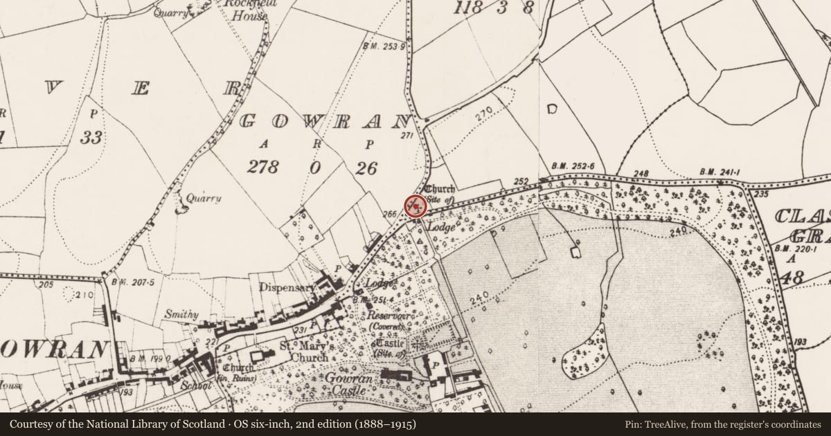 Ordnance Survey six-inch map, 2nd edition (1888–1915) covering the location of Graveyard, Stangs, County Kilkenny, with a pin at the register's coordinates