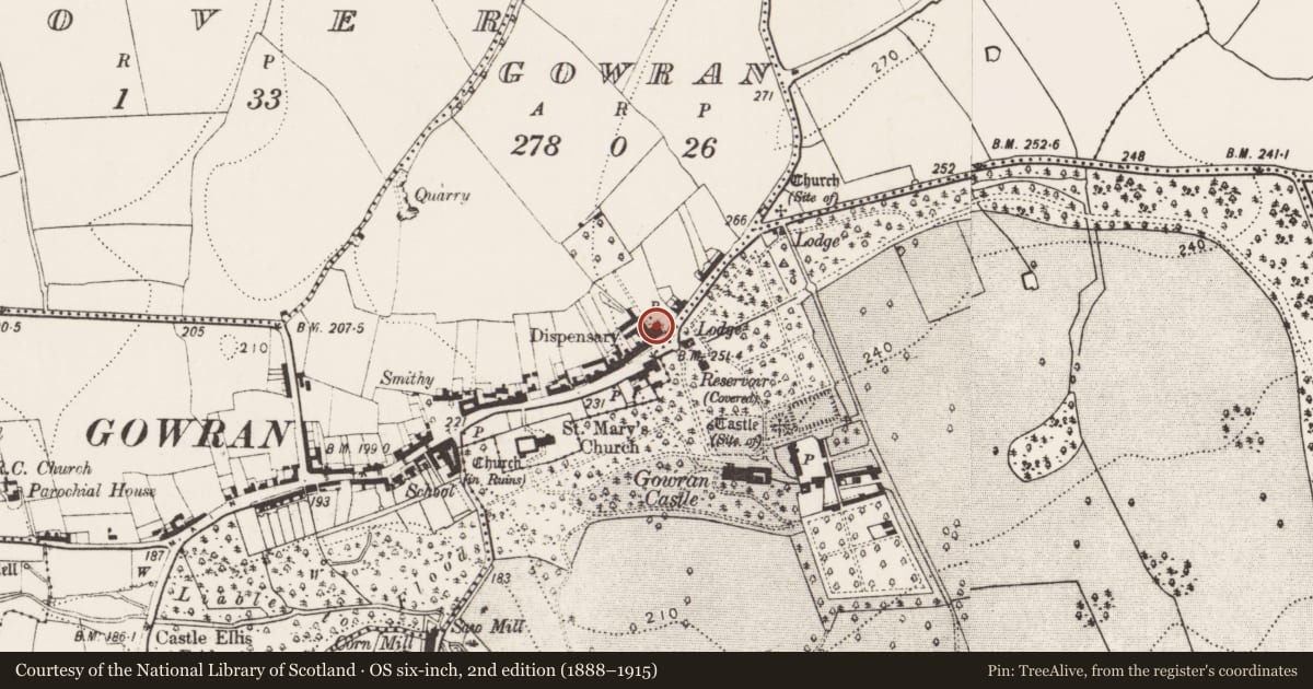 Ordnance Survey six-inch map, 2nd edition (1888–1915) covering the location of Armorial plaque, Gowran, County Kilkenny, with a pin at the register's coordinates